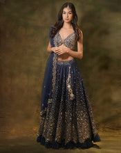 Load image into Gallery viewer, The Dazzled Mirror Lehenga