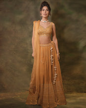 Load image into Gallery viewer, The Mustard Lucknowi Lehenga