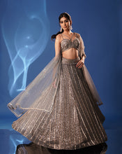 Load image into Gallery viewer, Grey Embroidered Lehenga Set
