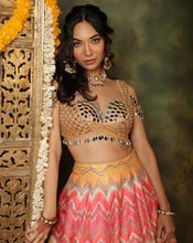Load image into Gallery viewer, Sheesh Peacock Lehenga Set