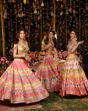 Load image into Gallery viewer, Sheesh Peacock Lehenga Set