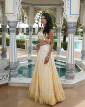 Load image into Gallery viewer, Ainna Ombre Yellow Mirror Lehenga