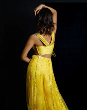 Load image into Gallery viewer, The Phoolon ki Haldi Plazzo Set