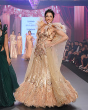 Load image into Gallery viewer, The Feather Golden Gown