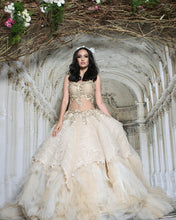 Load image into Gallery viewer, Elegant Embroidered Ballgown - Archana Kochhar India
