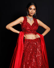 Load image into Gallery viewer, The Shimmer Rouge Sequence Lehenga