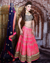 Load image into Gallery viewer, Meena Lehenga