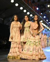 Load image into Gallery viewer, The Pink Sharara Set