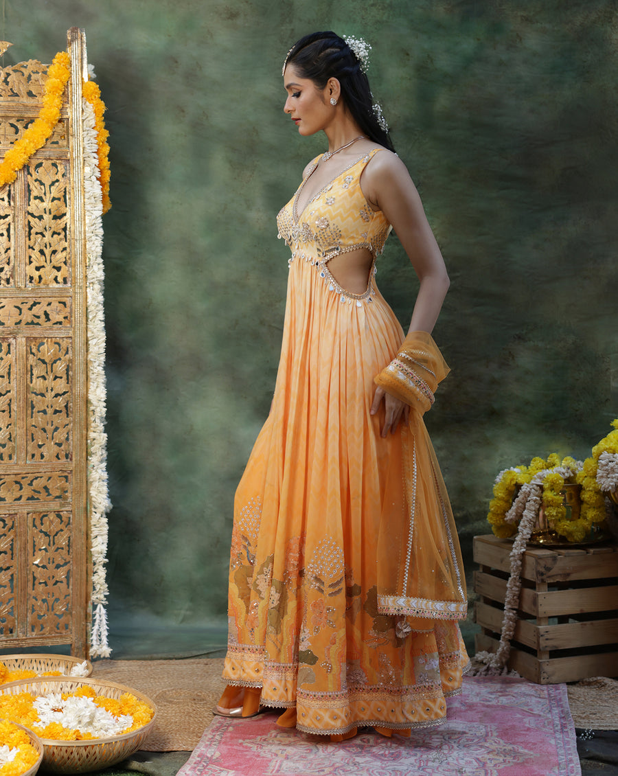 Gulmora Anarkali Set