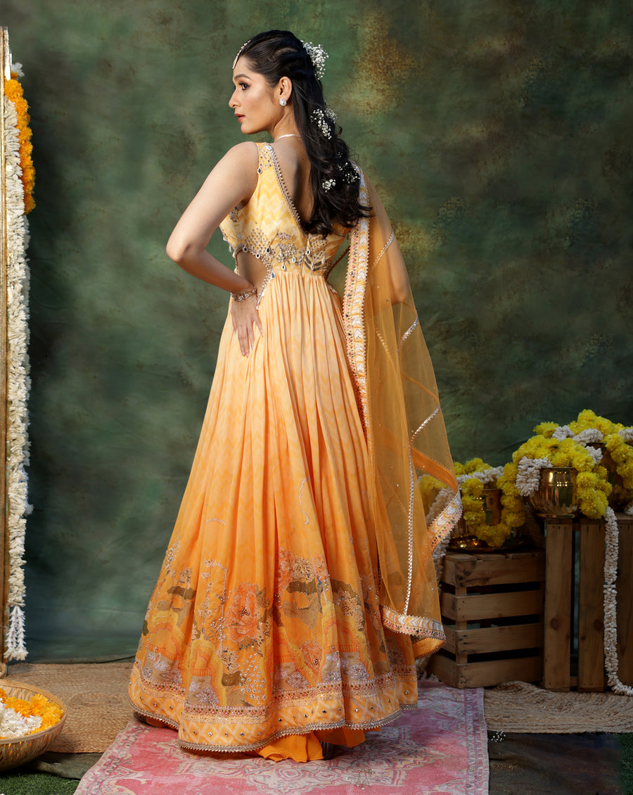 Gulmora Anarkali Set