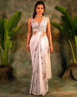 The Enchanted Sari