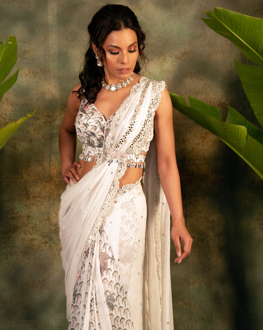 The Enchanted Sari