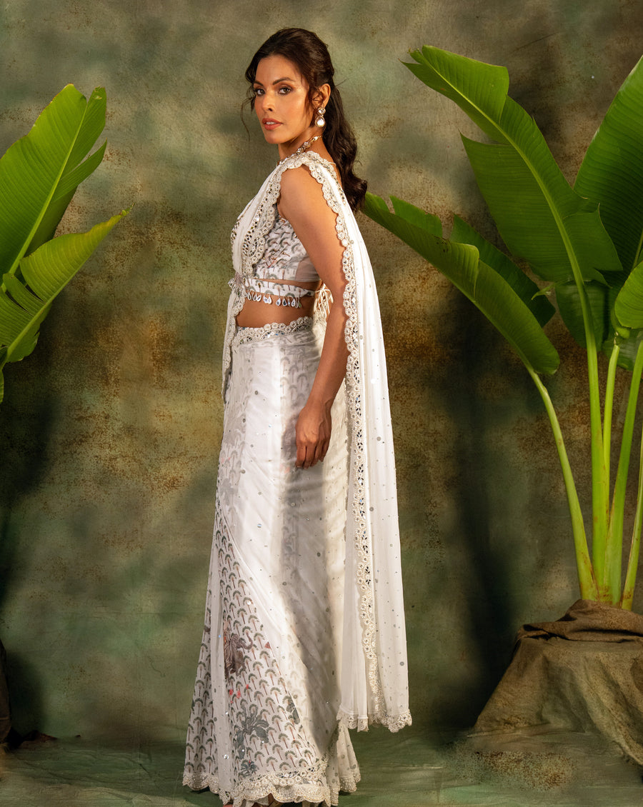 The Enchanted Sari