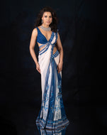 The Neel Mahal Ivory Sari