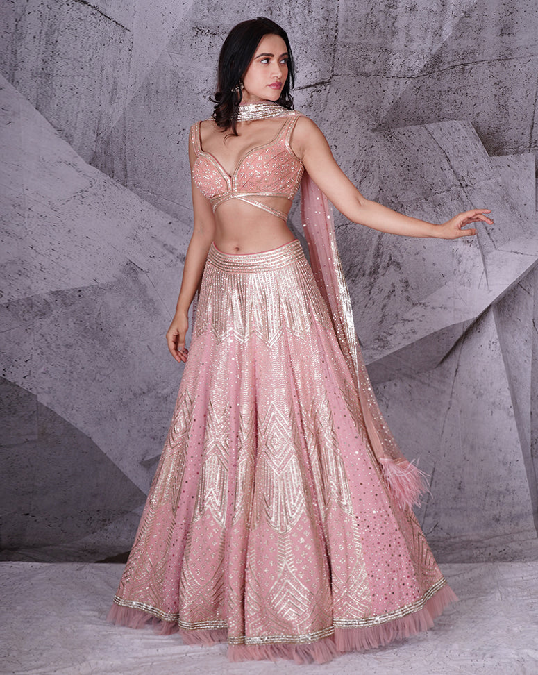 The Spree Pink Lehenga