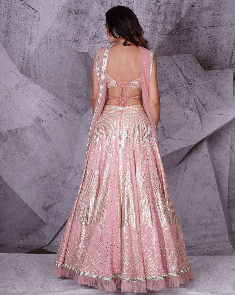 The Spree Pink Lehenga