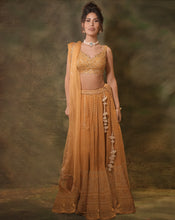 Load image into Gallery viewer, The Mustard Lucknowi Lehenga

