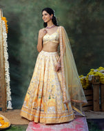 Gulmora Lehenga Set