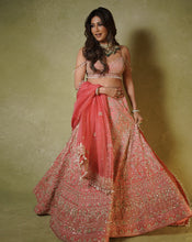 Load image into Gallery viewer, Soft Pink Zardosi Lehenga

