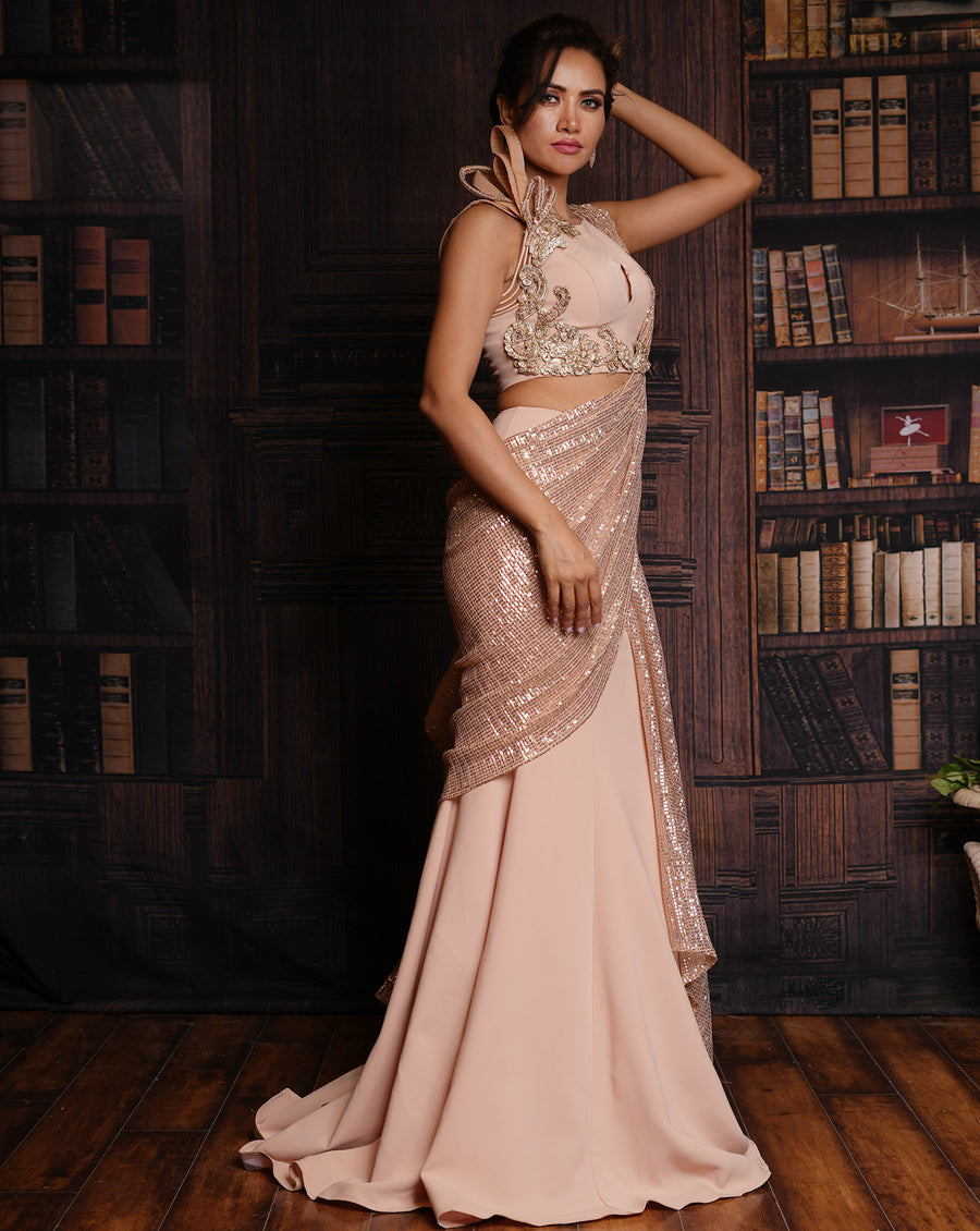 The Sequence Lehenga Sari