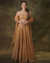 Load image into Gallery viewer, The Embellished Mustard Lehenga
