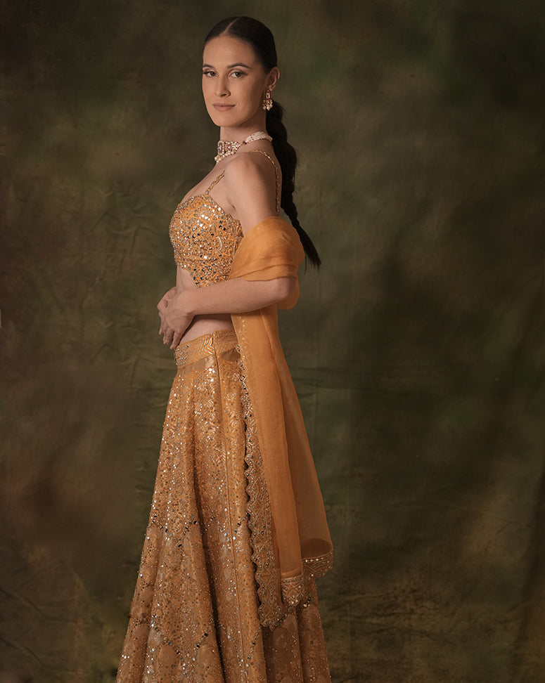 The Embellished Mustard Lehenga