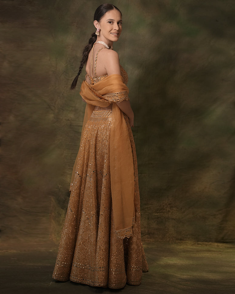 The Embellished Mustard Lehenga
