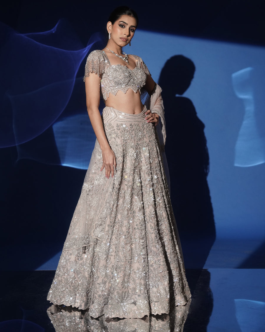 Soft Grey Sequin Embellished Lehenga