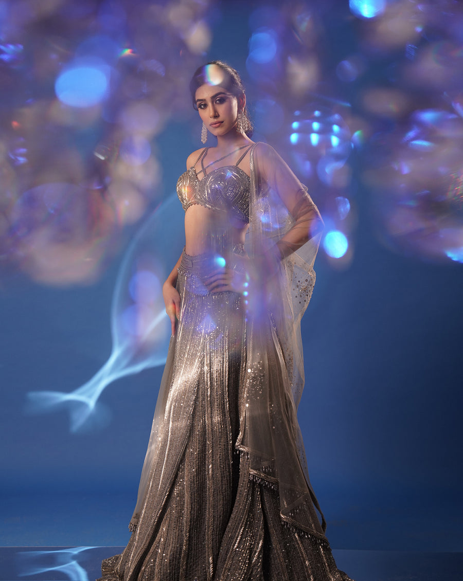 Grey Embroidered Lehenga Set