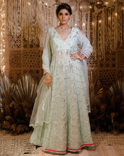 Load image into Gallery viewer, The pista pink Anarkali

