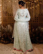 Load image into Gallery viewer, The pista pink Anarkali
