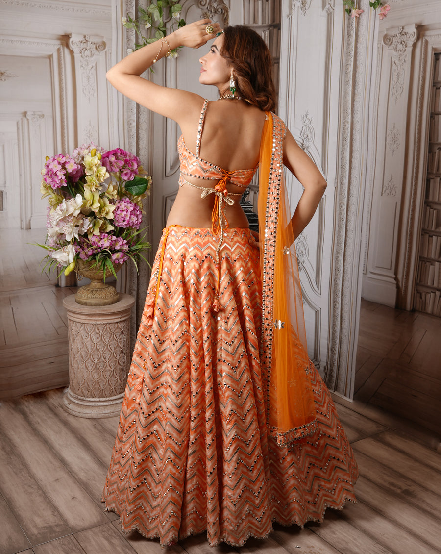 The Chevron Mirror Lehenga