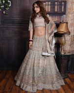 The Shimmer Lehenga