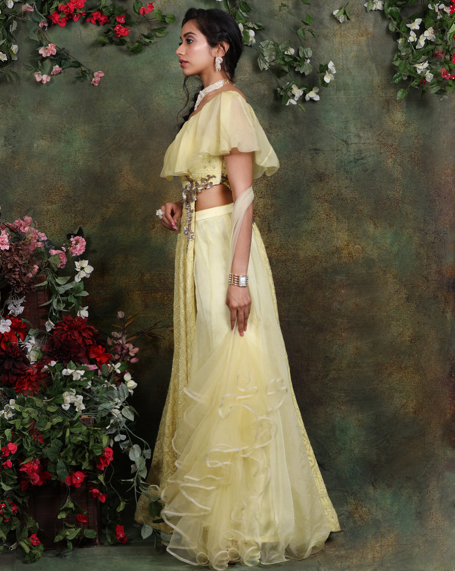 The Lemon Yellow Anarkali Set